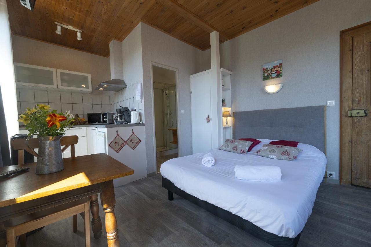 PINOT GRIS - Charmant studio au cœur du vignoble - parking gratuit - Chambres d’hôtes