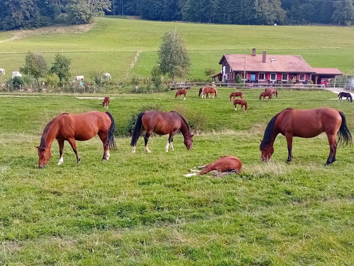 Chez Karine - Ferienwohnung Le Noirmont
