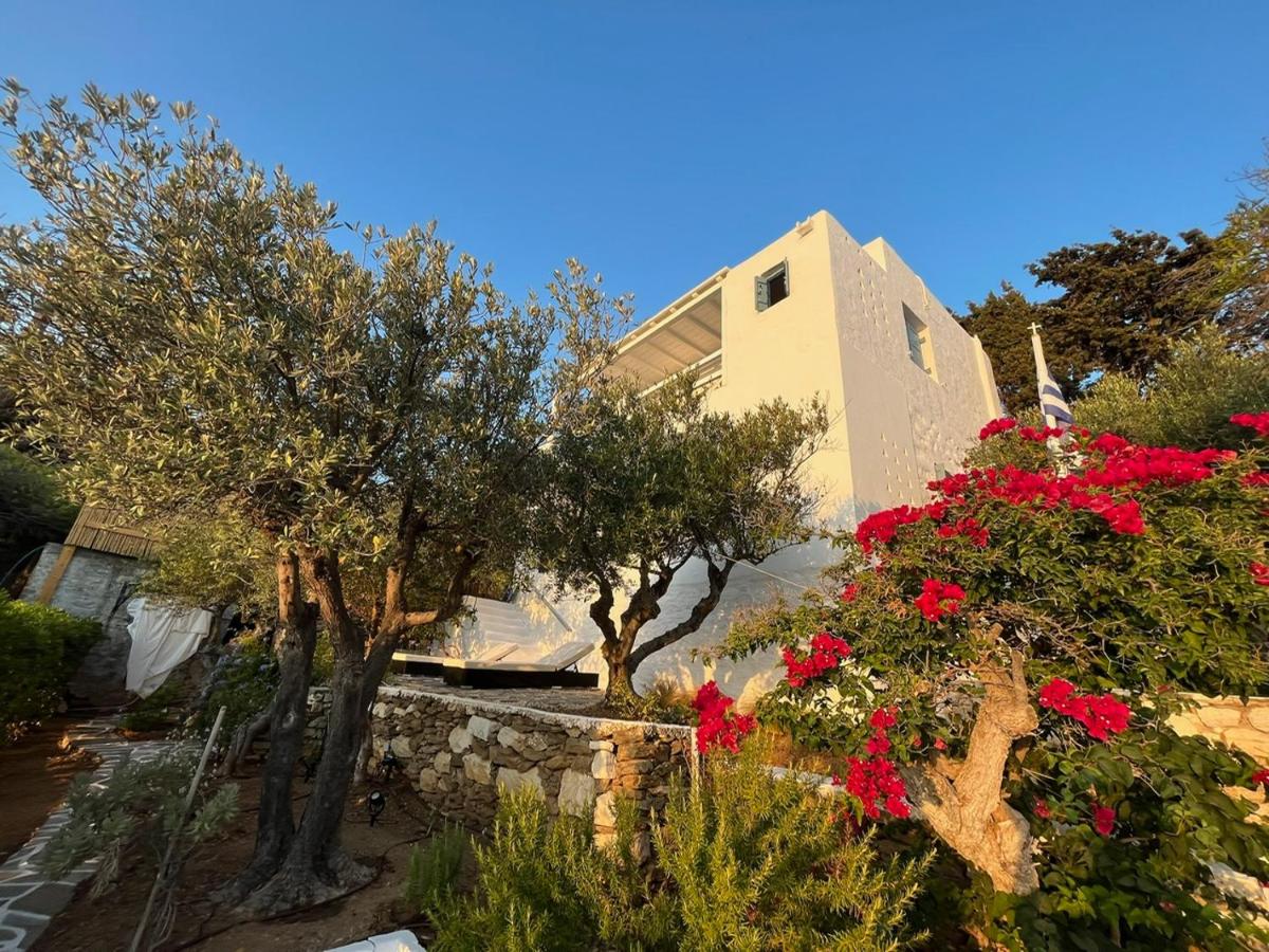 Magnifique Villa sur la plage de Piso Livadi - Paros - Chambres d'hôtes Piso Livadi