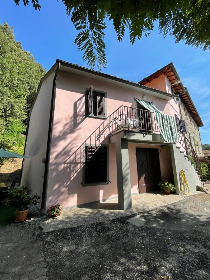 All'Agacino - B&B Lucca