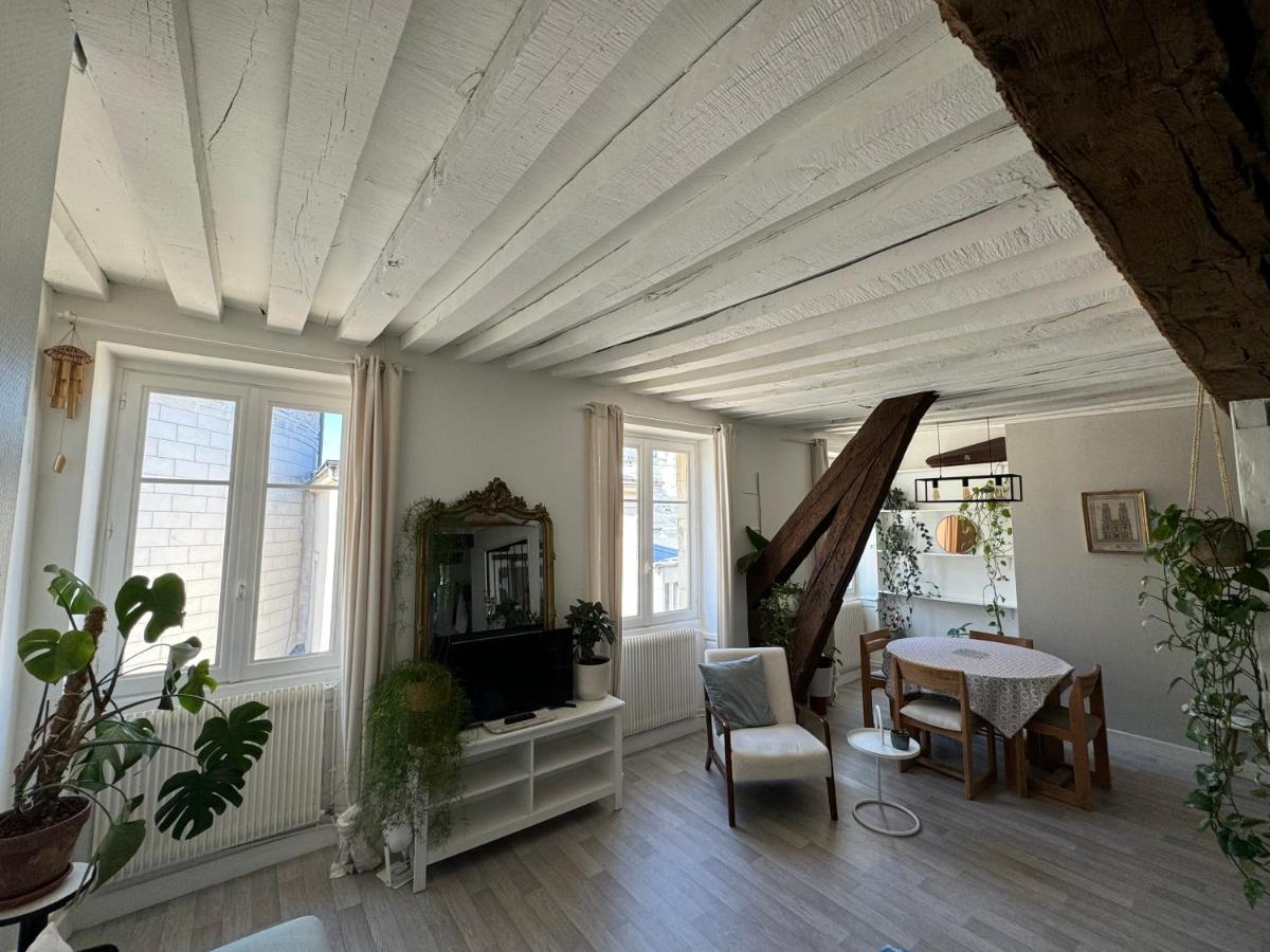 Appartement central - ORLEANS - Ferienwohnung