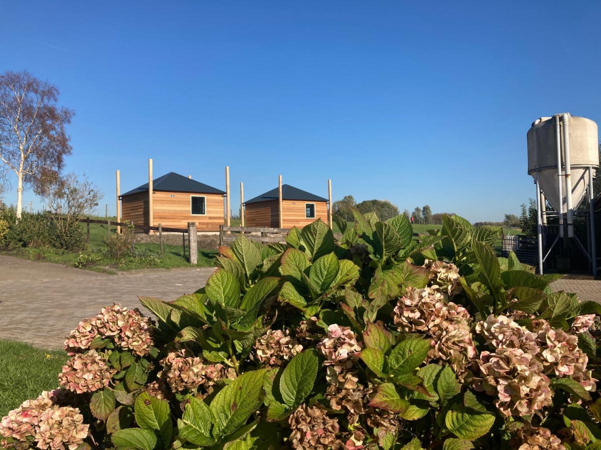 Hooiberghut op boerderij - B&B