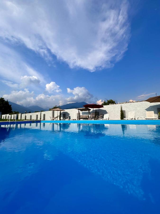 Sunny Kvareli - B&B Q’vareli