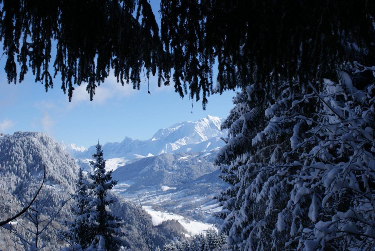 Cabane dans les Arbres Nid