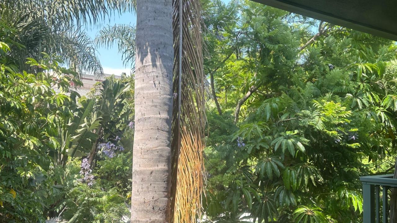 Oceanside Serenity,master bedroom with private bathroom with free parking in MDR - Ferienwohnung Los Angeles