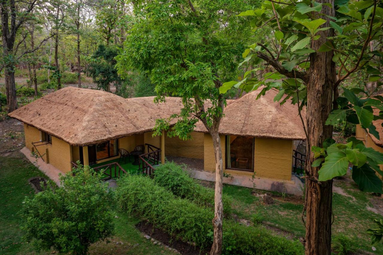 Bijrani Jungle Camp by Fairlink - B&B