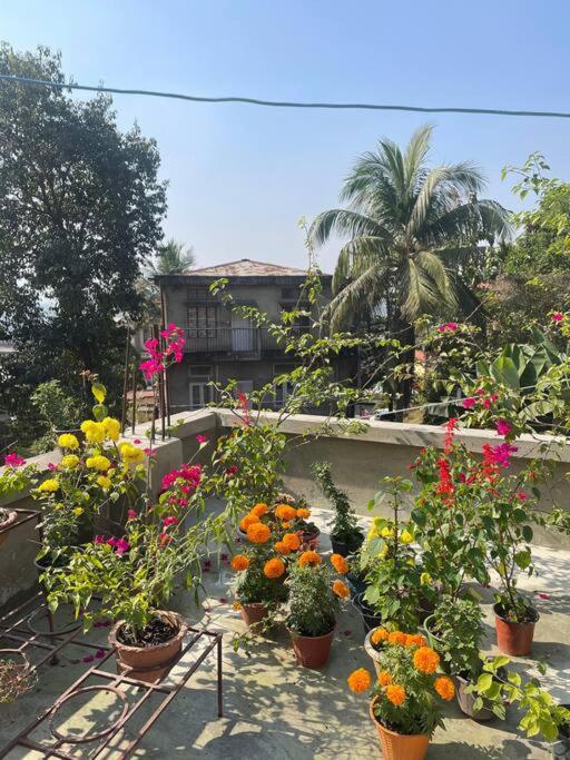 The Green Hills - B&B