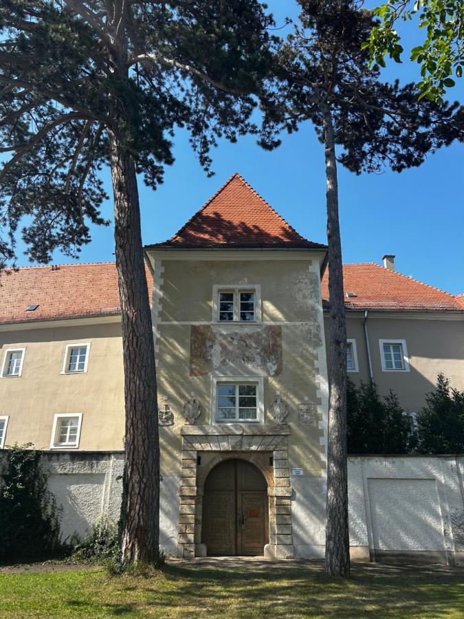 Schloss Apartment Lankowitz - B&B