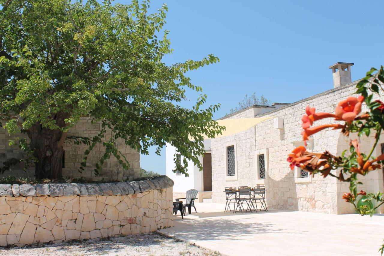 La pietra di Luca guest house - B&B Cisternino