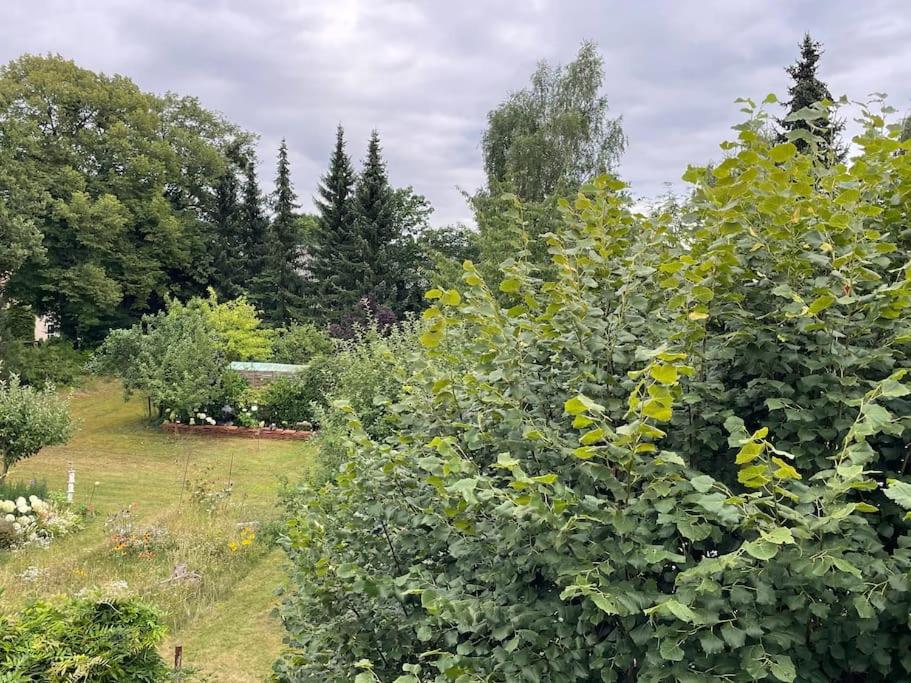 Große Wohnung mit Loggia - Ferienwohnung Templin