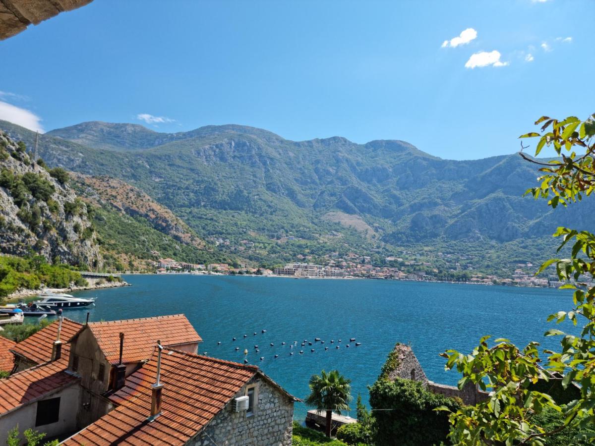 Stone Apartment Risan - B&B