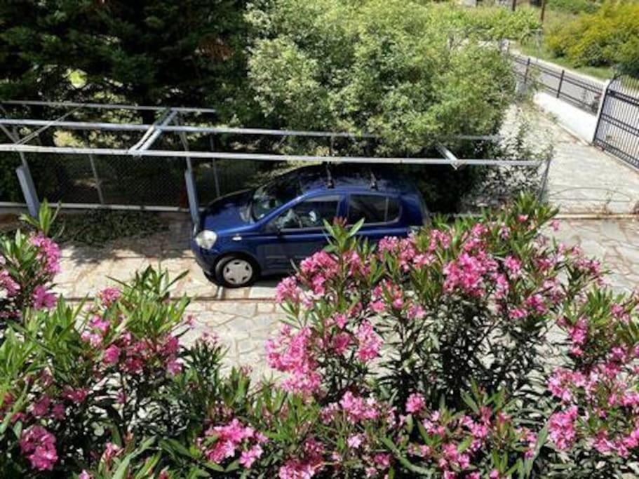 Sweet Greek Village Summer Home - Bed and Breakfast Kalandra