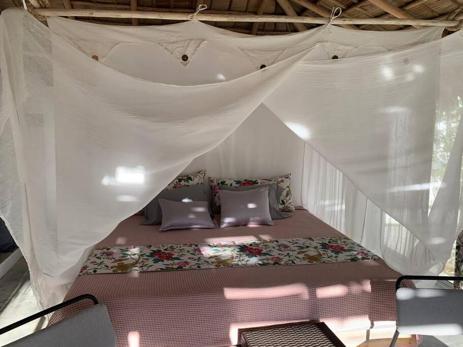Studio El Quiosco avec Jacuzzi - B&B