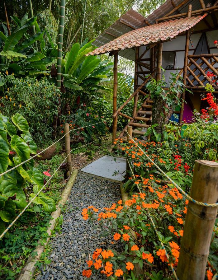 Glamping Los Alpes - B&B