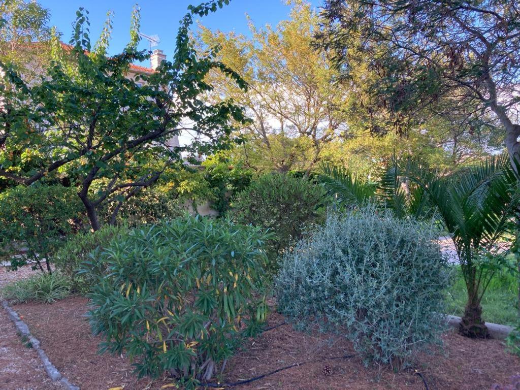 magnifique villa avec piscine - Bed and Breakfast Antibes