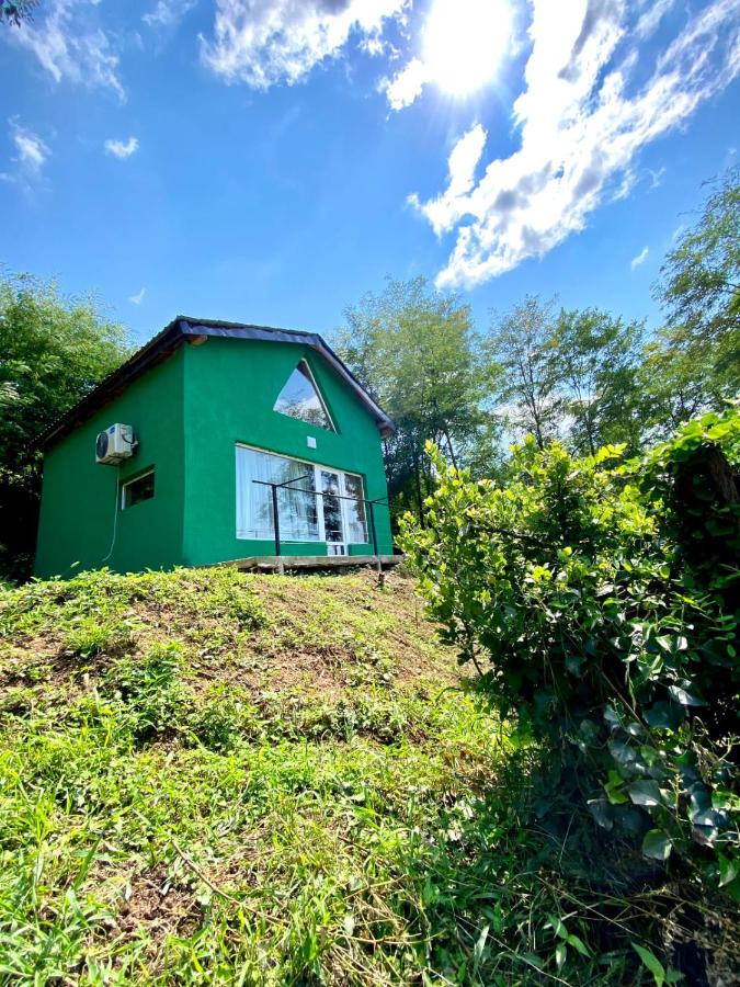 Green house - B&B