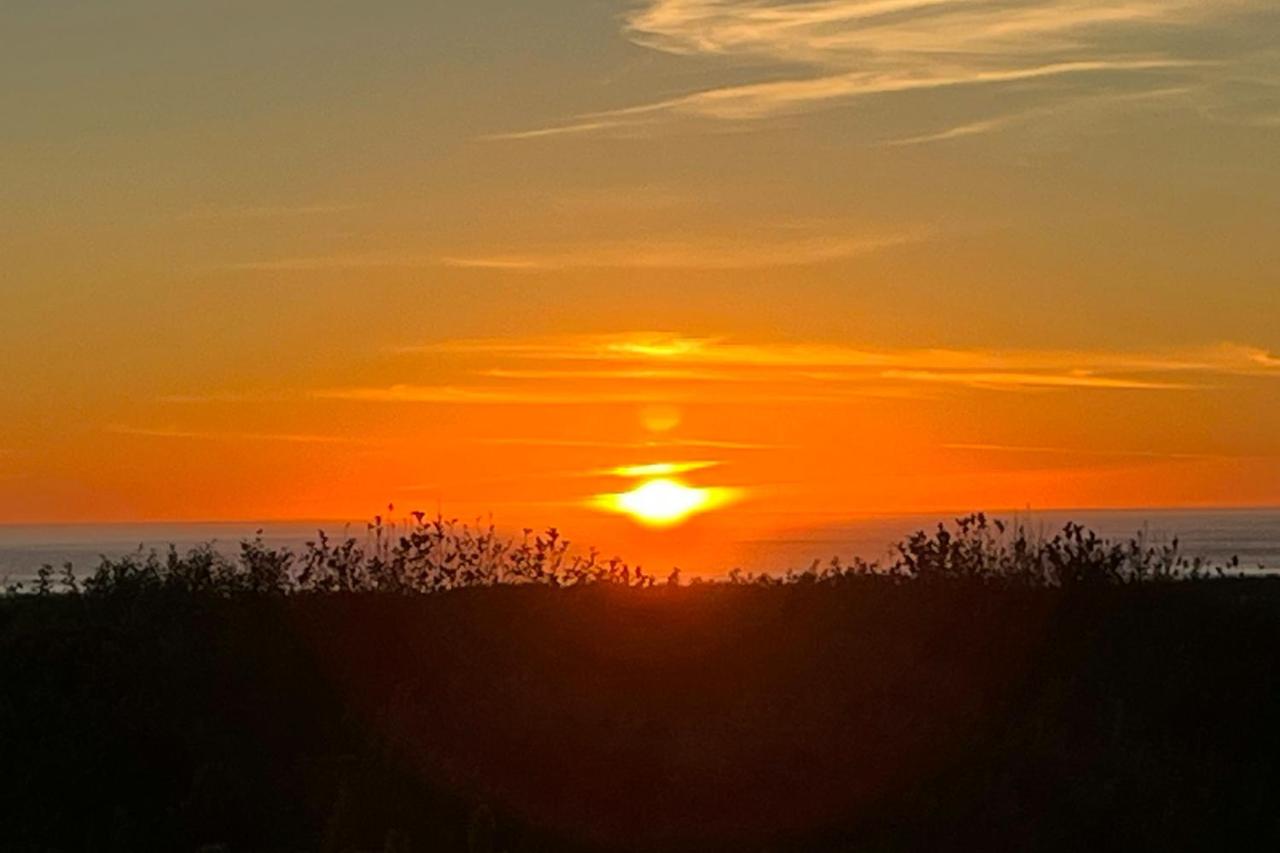 Oceanview Oasis - Chambres d’hôtes Copalis Beach
