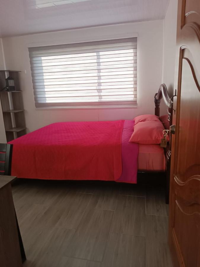 Kamer met Kingsize Bed
