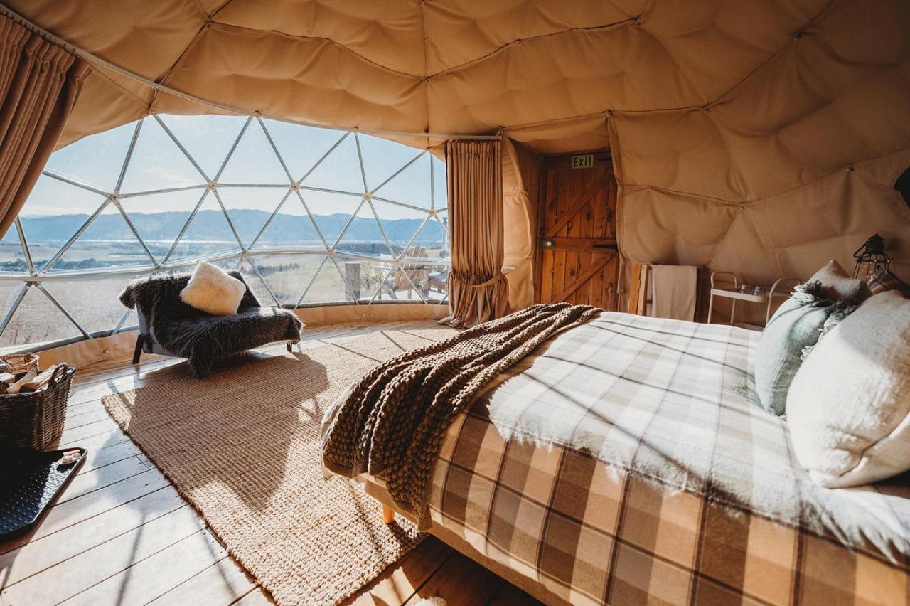 Dome 3