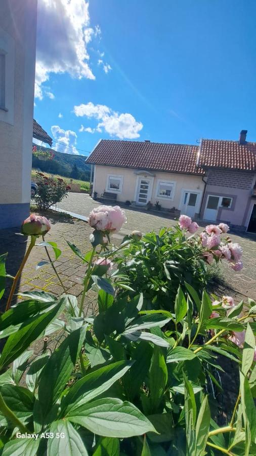 Apartman Kristina - B&B