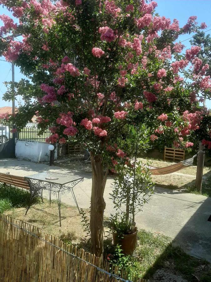Magnolia House - B&B Néa Vrasná