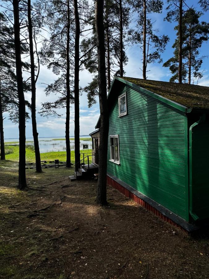 Vasaras mājiņa pie Rāznas ezera Nr 17 - B&B