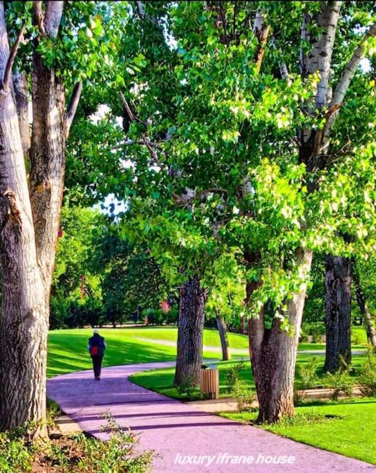 Luxury Ifrane House - B&B Ifrane