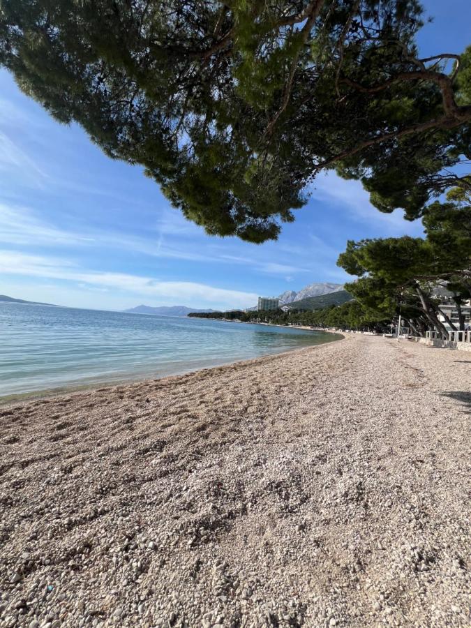 Luxury sea view apartment Makarska with pool - Chambres d’hôtes Makarska