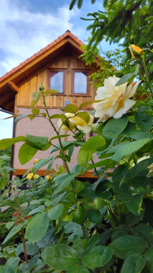 Ruralna kuća za odmor Brezanka, Zagrebačka ulica 21 Gornja Stubica - B&B