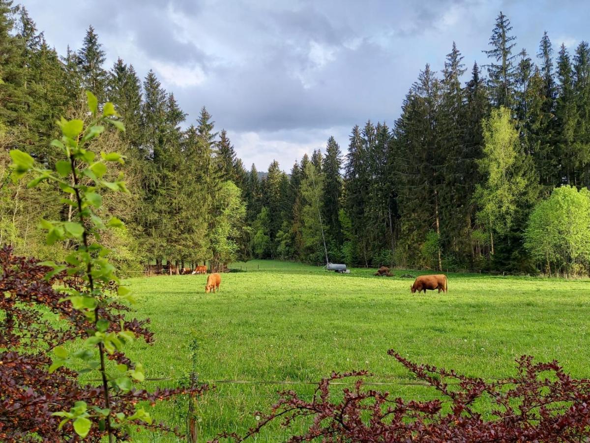 Chalupa U Lesa Frymburk Lipno - Bed and Breakfast Frymburk