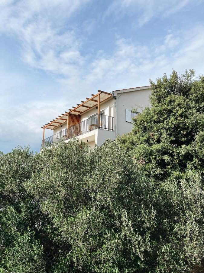 Villa Frana Brodarica - B&B