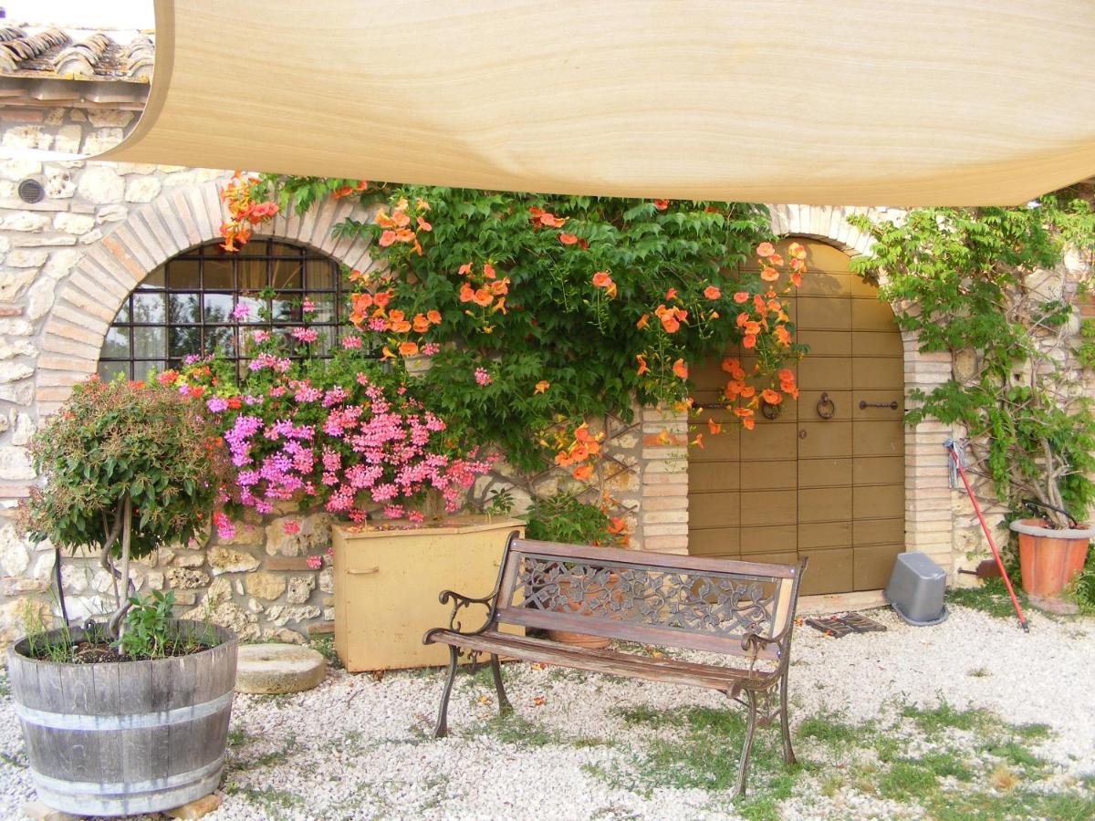 Agriturismo Podere dell' Olmo - Ferienwohnung Amelia