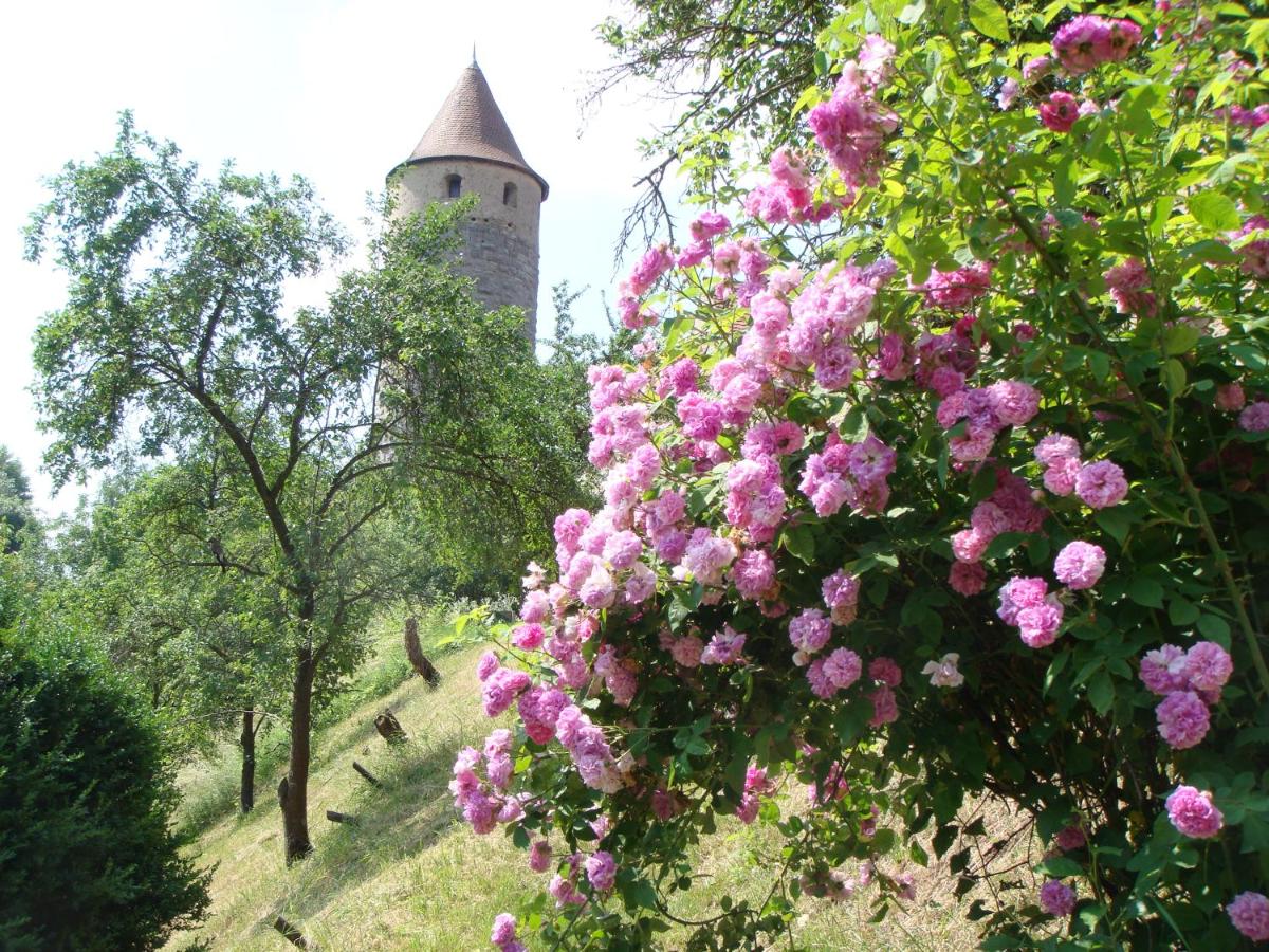 Camera Matrimoniale Standard