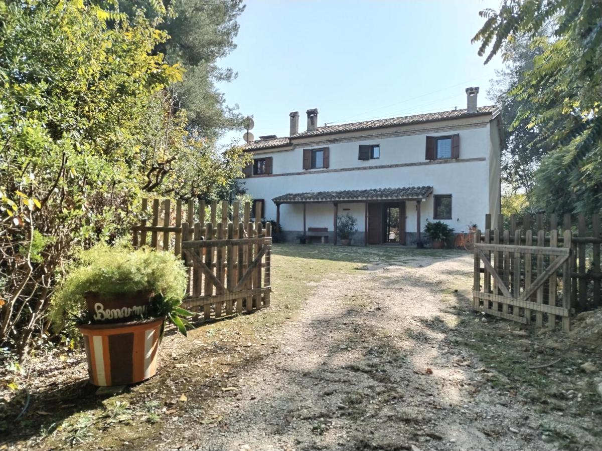 Boschetto sul mare - B&B