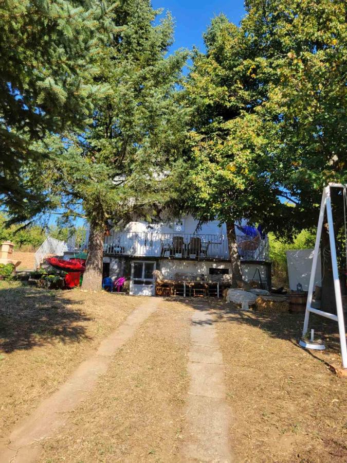 Vikendica Grabovac - B&B Belgrado