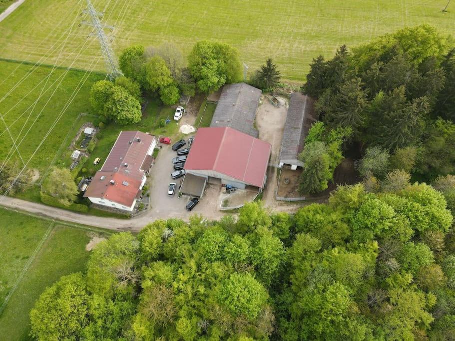 Ferien auf dem Bauernhof - Ferienwohnung