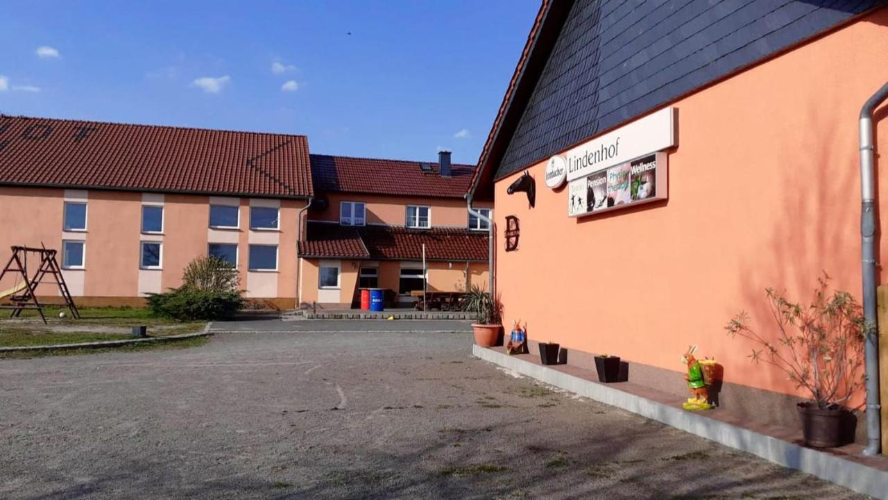 Pension Lindenhof Drabsch - Ferienwohnung