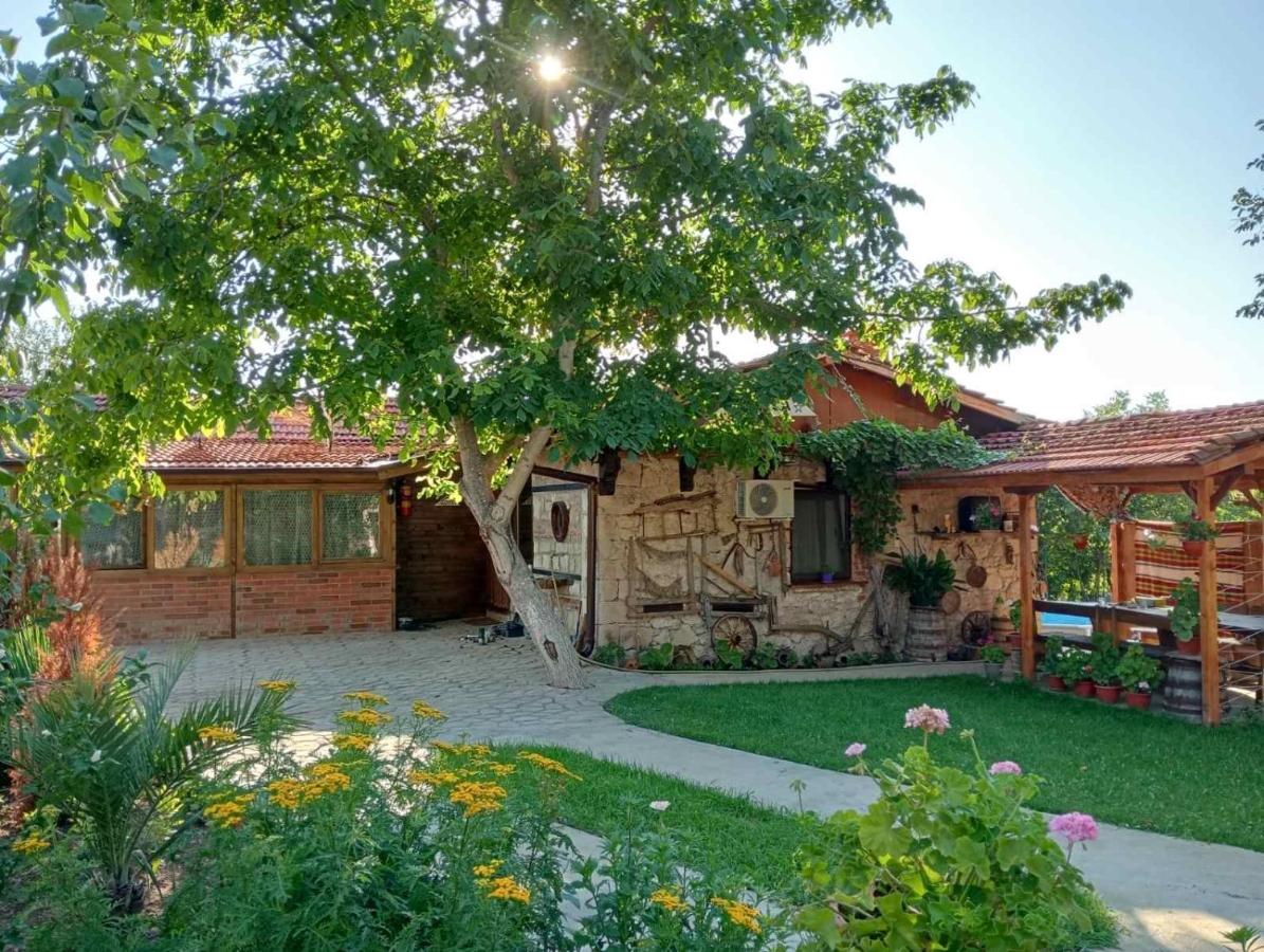 Мехса - B&B