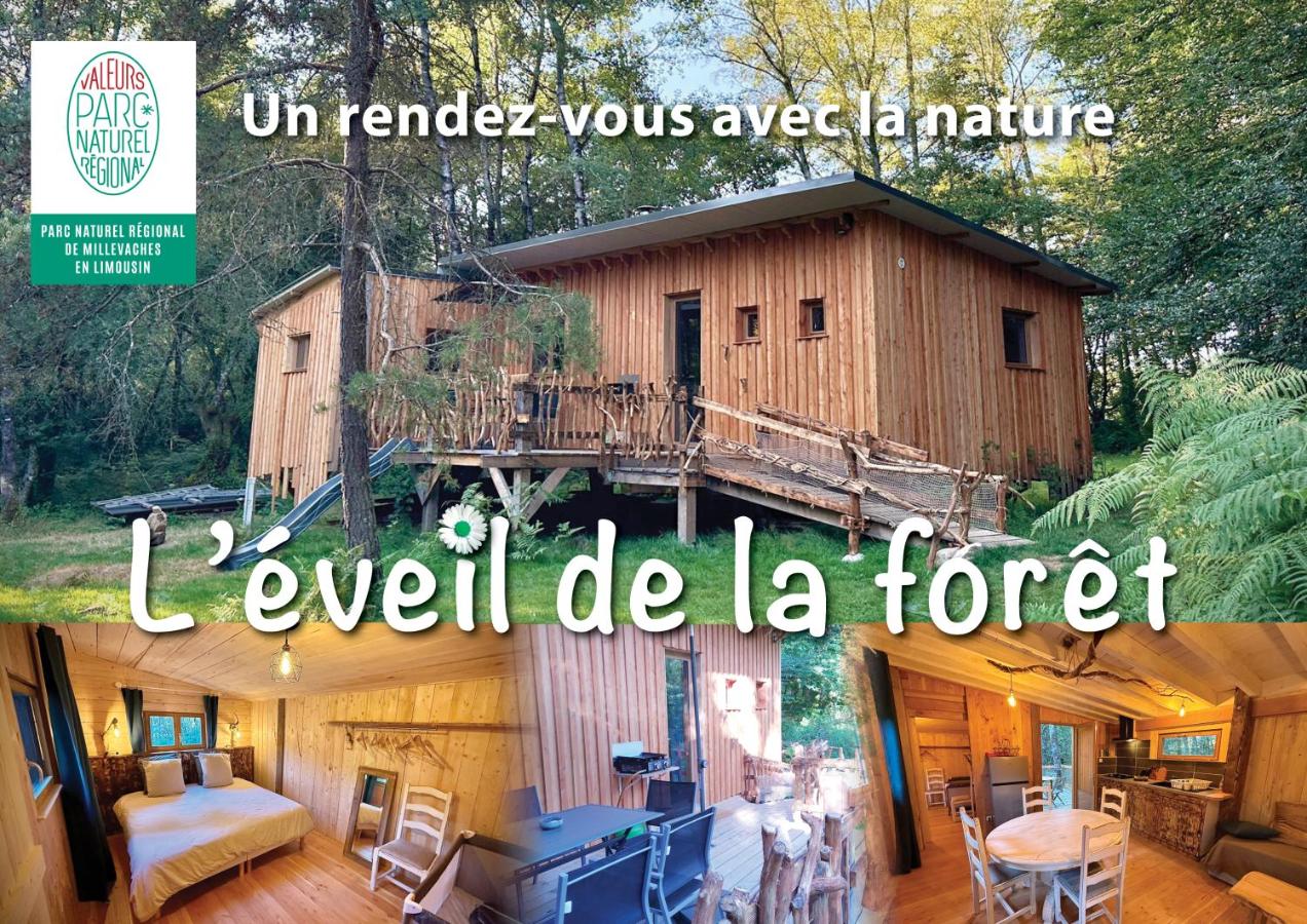 Gîte nature L'éveil de la forêt - B&B