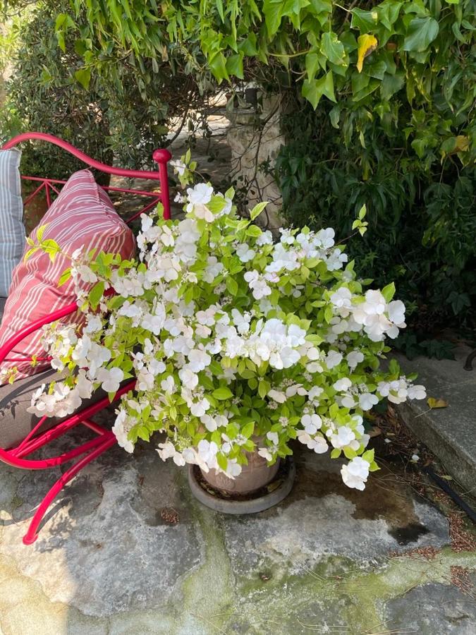 La Borie en Provence - B&B