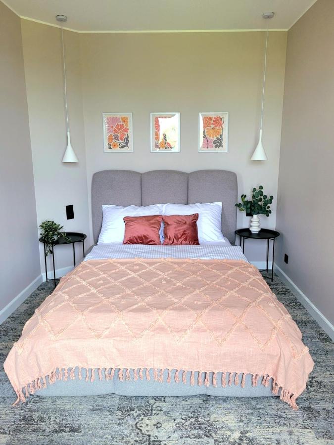 Deluxe One-Bedroom Apartment