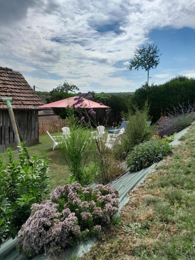 La maison family - B&B Veaugues