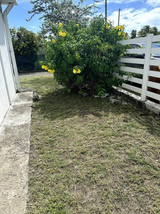 Maison authentique à 300m de la plage - Ferienwohnung Sainte-Anne