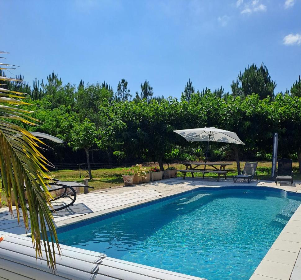 DOMAINE LARBUT - B&B Saint-Paul-lès-Dax