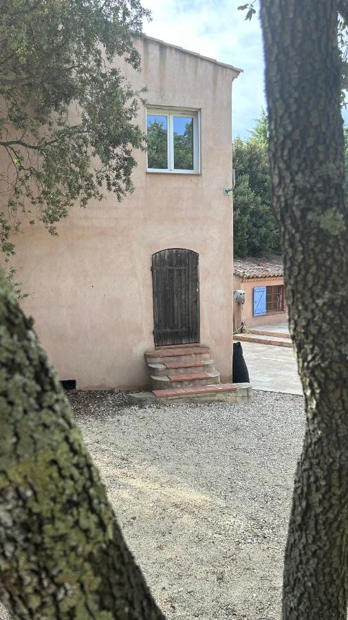 Mazet - Bed and Breakfast
