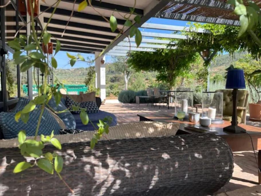 Finca La Boheme Monda - B&B Monda