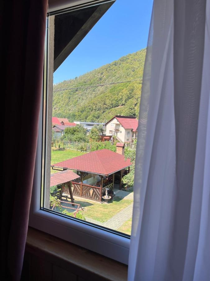 Casa Zorilor - B&B