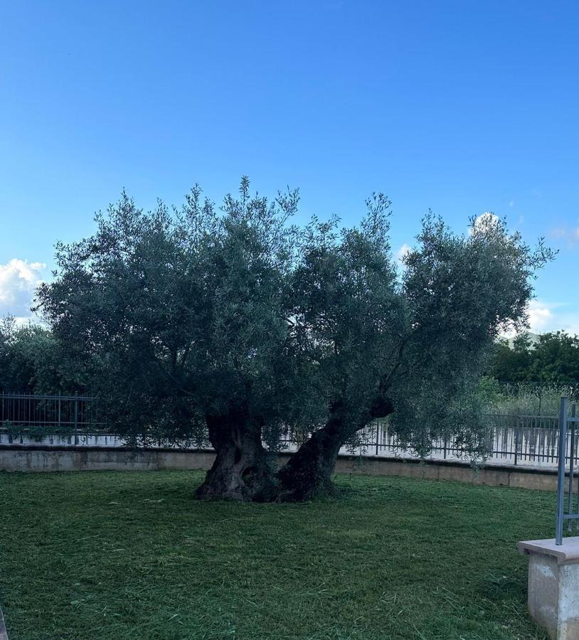 Il Melograno - B&B
