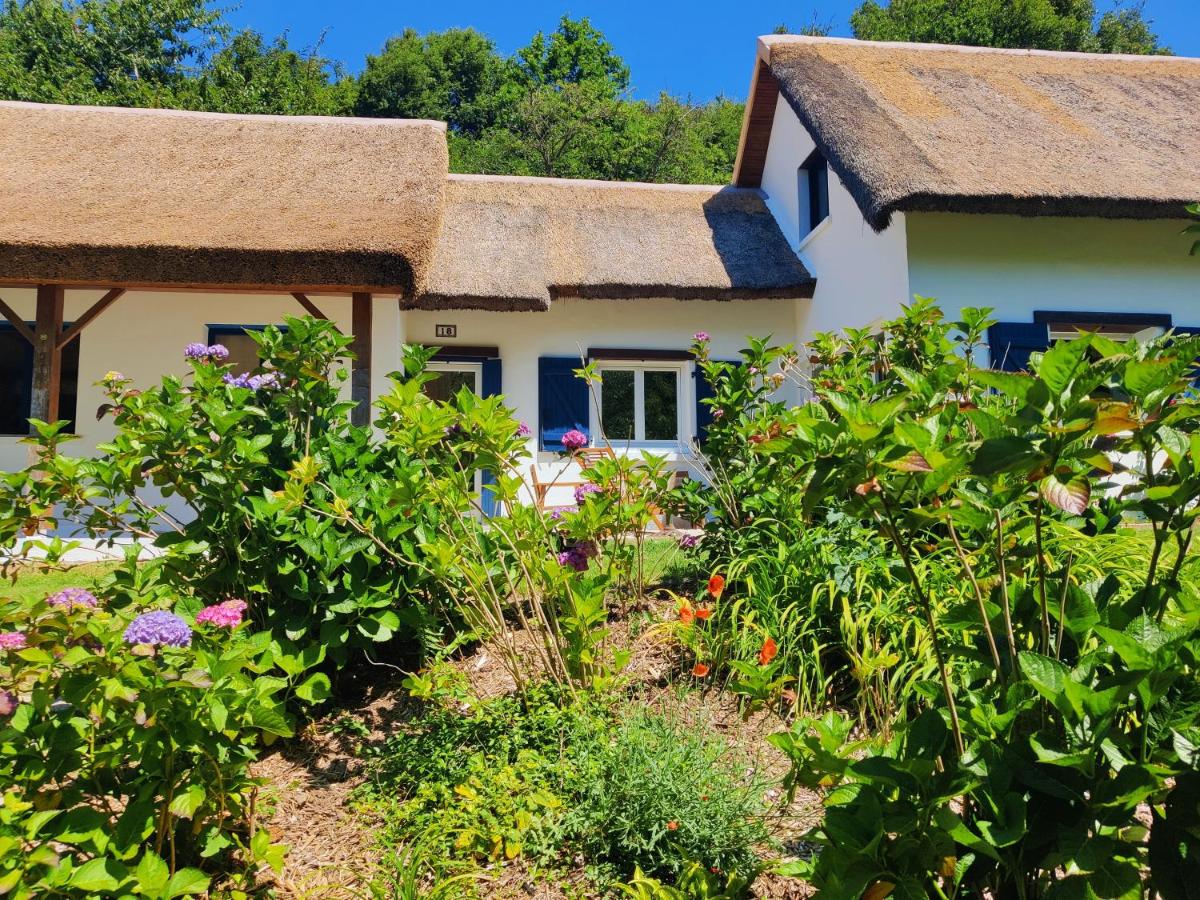 La Chaumière aux hortensias - Ferienwohnung