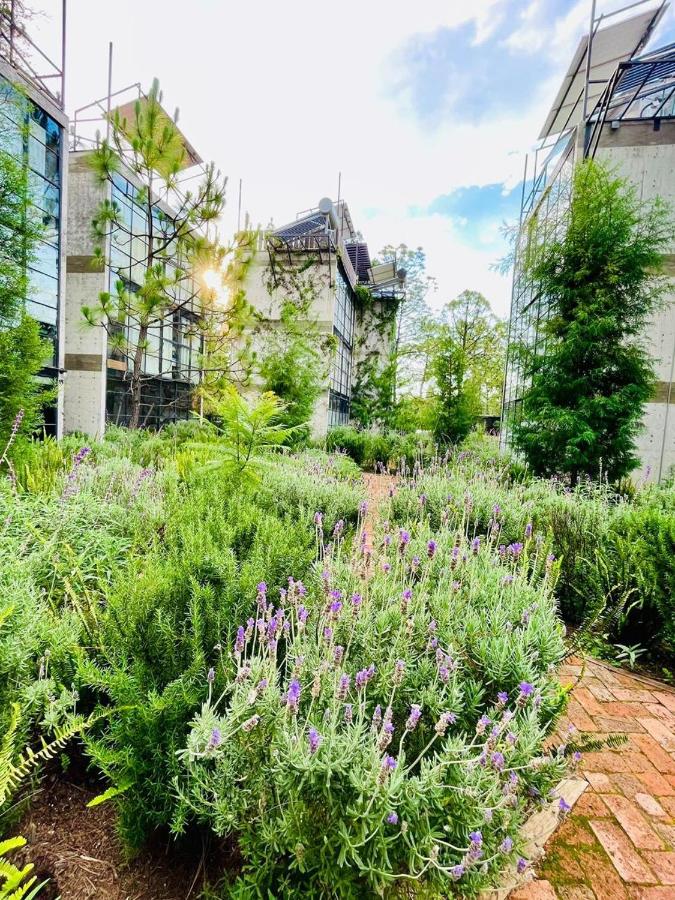 ecoALDEA Morelia - B&B Morelia